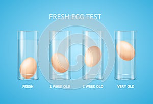 Realistic Detailed 3d Fresh Egg Test Concept. Vector