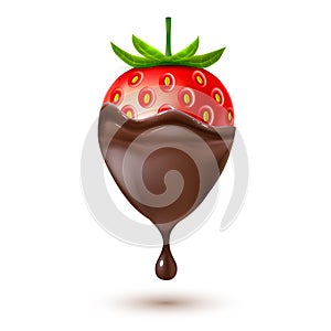 Vector realistic detailed strawberry in chocolate