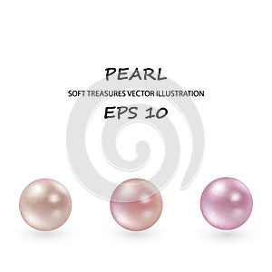 Realistic different colors pearls set. Round colored nacre formed within the shell of a pearl oyster, precious gem. Vector