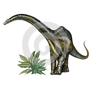 Realistic drawing dinosaur brontosaurus