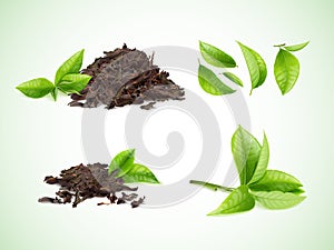 Realistic dry tea. Heap of dried black leaves and herbal bunch green leaf growing plant, foliage pile nature caffeine