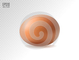 Realistic egg icon, isolated on transparent background. Vector illustration