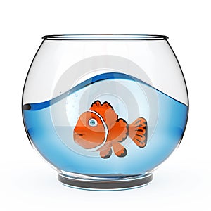 Realistic Empty Glass Fishbowl Aquarium with Blue Water and Red photo