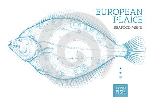 Realistic european plaice fish. Seafood menu design