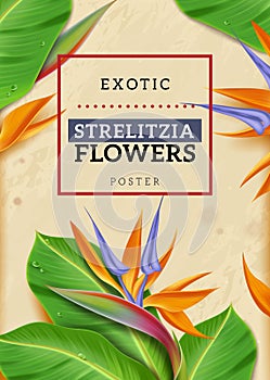 Realistic exotic flowers vertical poster