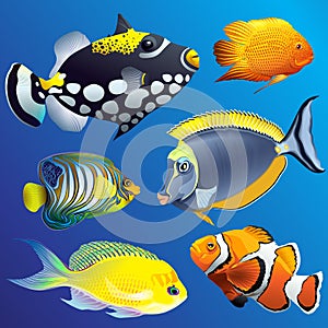 Realistic Exotic Marine Underwater Fauna Set