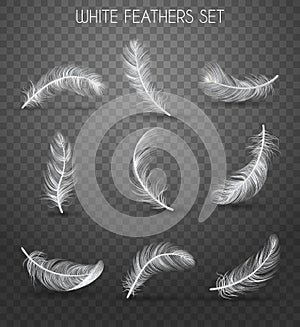 Realistic Feather Transparent Set