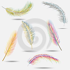 Realistic feathers. Colorful bird falling feather isolated on white background vector collection. Illustration of feather.