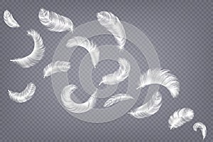 Realistic feathers. Fluffy white goose and swan different falling fluffy twirled feather, weightless plume 