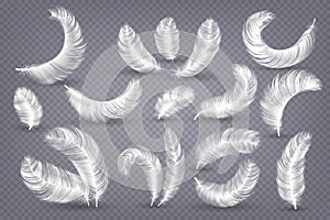 Realistic feathers. Fluffy white goose and swan feather, weightless plume isolated vector