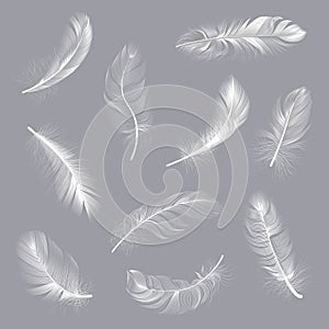 Realistic feathers. Fluffy white twirled feathers, bird wing falling weightless feather, flying lung quill isolated