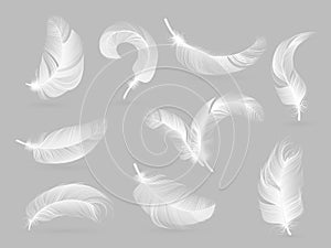 Realistic feathers. White bird falling feather isolated on white background vector collection