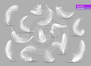 Realistic feathers. White bird falling feather isolated on white background vector collection. Illustration of feather