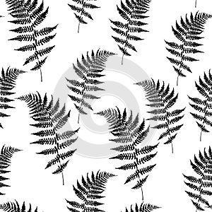 Realistic fern seamless pattern vector illustration. Detailed bracken fern vector, tropical forest.