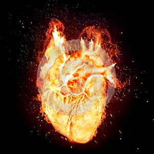 Realistic fiery heart on a black background