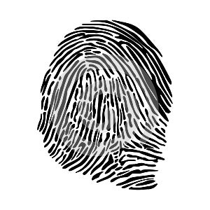 Realistic fingerprint isolated on a white background.