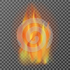 Realistic fire flames isolated on transparent background, vector