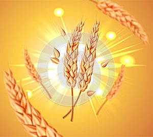 Realistic flying wheat grains, oats or barley isolated on a yellow sun background. Natural ingredient element. Healthy