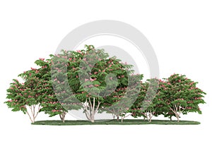 Realistic forest island on transparent background. 3d rendering - illustration