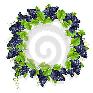 A realistic frame with black grapes