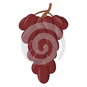 Realistic fresh bunch of grapes  on white background