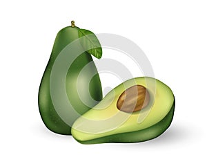 Realistic fresh fruit avocado isolated on white. Whole and cut in half avocado with seed and green leaf. Vector