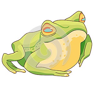 Realistic frog on white isolated backdrop stock vector illustration