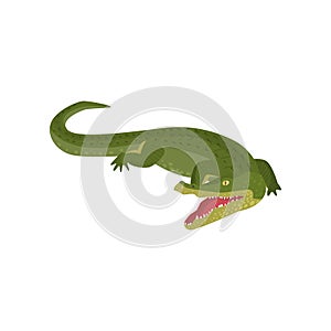 Realistic gavial crocodile isolated on white background