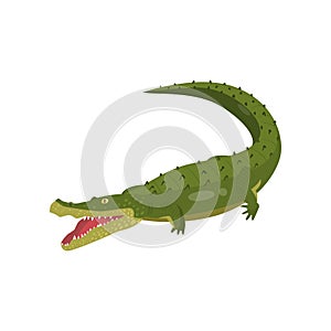 Realistic gavial crocodile isolated on white background