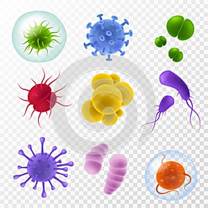 Realistic germs. Microscopic bacillus and infection cells, colorful bacteria and microorganism icon, covid flu viruses