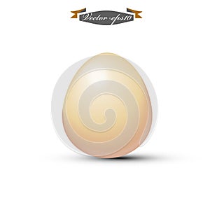 Realistic graphic design vector of gold egg