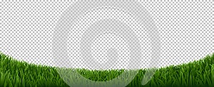 Realistic grass border. Green herb lawn, garden herb plants frame, fresh lawn border element vector background