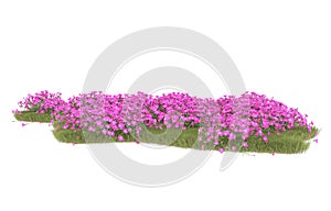 Realistic grass with isolated on background. 3d rendering - illustration