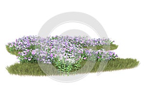 Realistic grass with isolated on background. 3d rendering - illustration