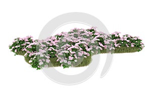 Realistic grass isolated on background. 3d rendering - illustration