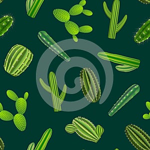 Realistic Green Cactus Plants Seamless Pattern Background. Vector photo