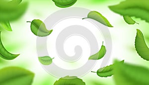 Realistic green falling leaves. Fresh flying blurred leaves isolated on white. Vector background with natural 3D tea