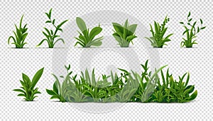 Realistic green grass. 3D fresh spring plants, different herbs and bushes for posters and advertisement. Vector set