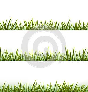 Realistic green grass collection isolated on white