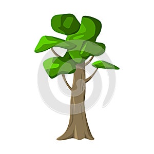 Realistic green old tall tree isolated on white background - Vector