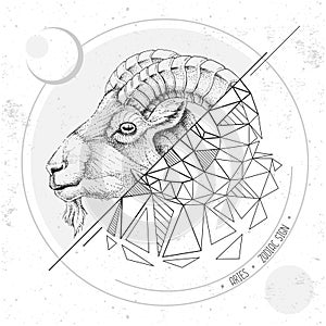 Realistic hand drawing and polygonal ram of mouflon head illustration. Magic card with Aries zodiac sign