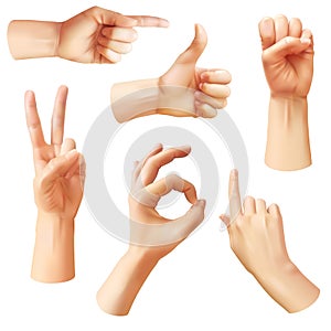 Realistic hand. Various gestures human hands, ok, thumb up and pointing finger, pinch. Optimistic arm gesture