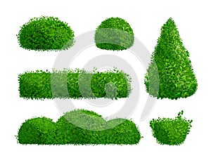 Realistic hedge. Hedges vegetation ornamental shrub, topiary background boxwood foliage evergreen grove park house