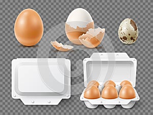 Realistic hen and quail eggs. Fresh raw and boiled natural products, whole and broken, yolk and albumen, blank cardboard