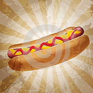 Realistic hot dog vector illustration
