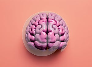 Realistic Human Brain Model with Mechanical Component