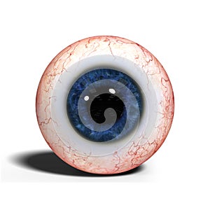 Realistic human eye with blue iris isolated on white background 3d illustration