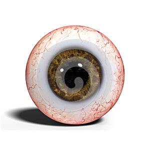 Realistic human eye with brown iris isolated on white background 3d illustration