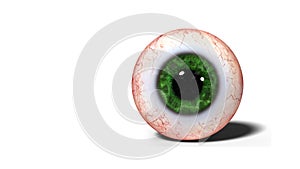 Realistic human eye with green iris isolated on white background 3d illustration