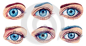 Realistic human eye, woman or man eyes with blue pupil iris eyelash and eyebrow, anatomy eyeball health retina optical